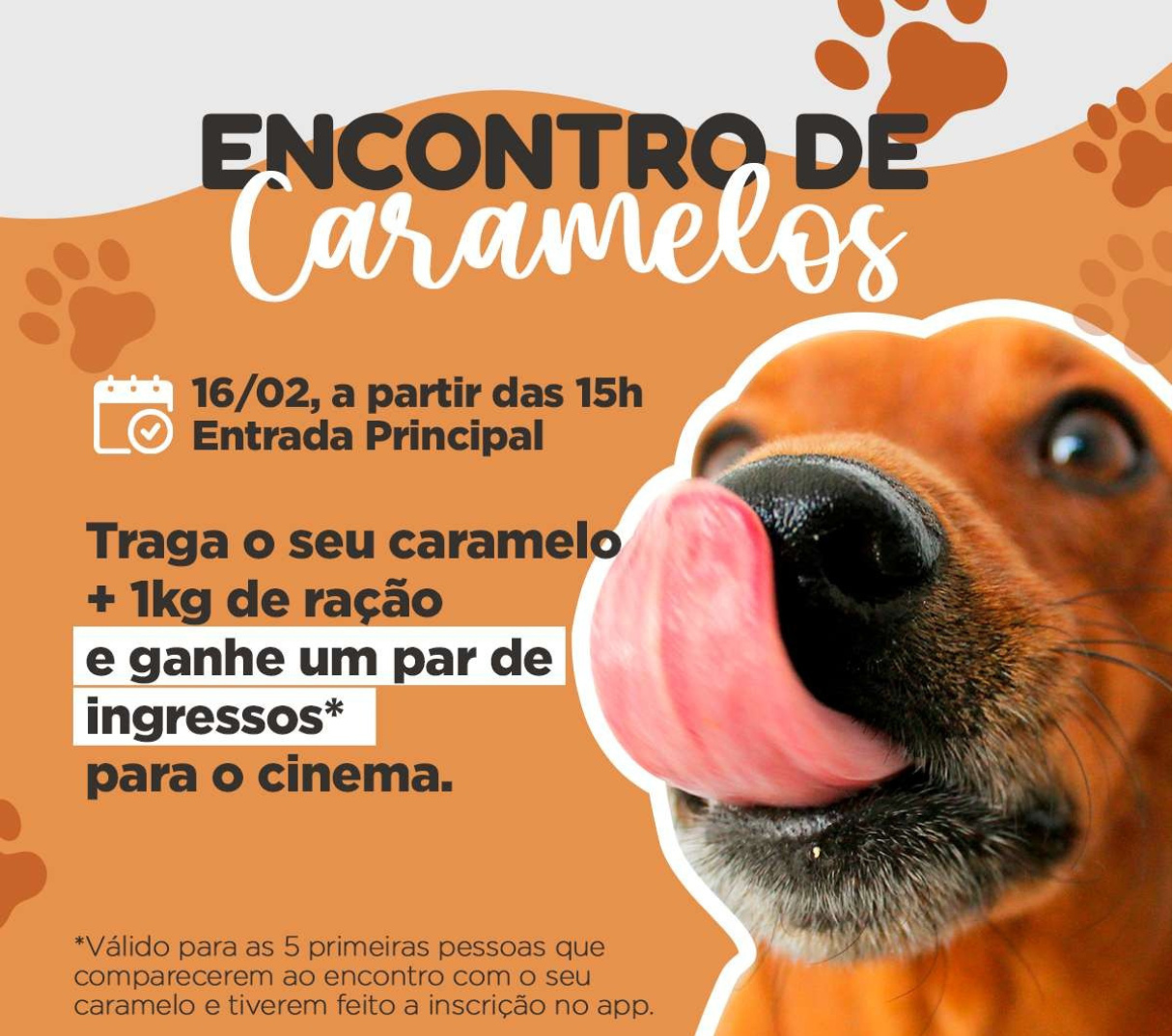 Encontro de Caramelos